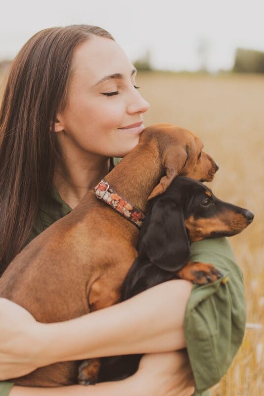 Using Dog Language to train your dog