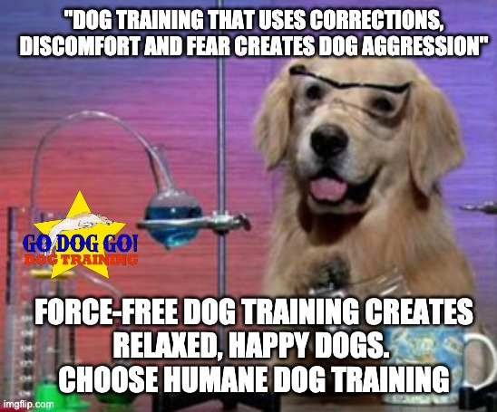 dog training meme