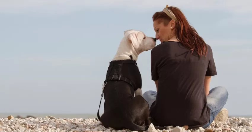 Pitbull dog and woman sitting and cuddling on the beach with backs to camera