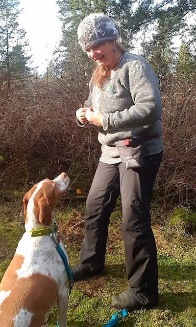 Our Trainer Lynne Fedorick CPDTKA Clicker training a pointer dog outdoors