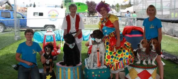 Lynne Fedorick and the Go Dog Go! All Stars Trick Dog Team performing trick dogs